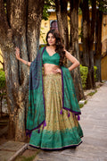 Chitra Green Color Vichitra Silk Printed Lehenga Choli With Dupatta
