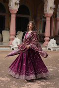 Gaurangi wine chinon embroidered Anarkali gown set