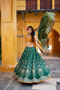 Rajeshwari green vaishali silk printed beads work lehenga choli set