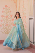 Sky blue organza flair sequins zari embroidery gown with dupatta